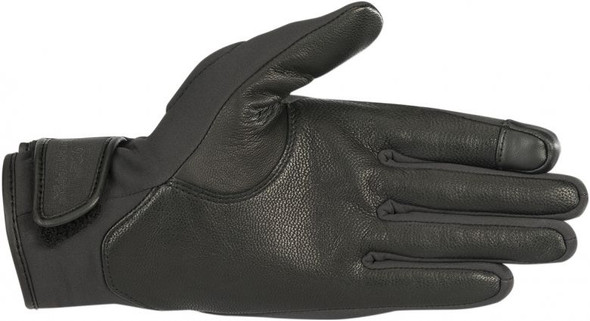 Black Palm Detail